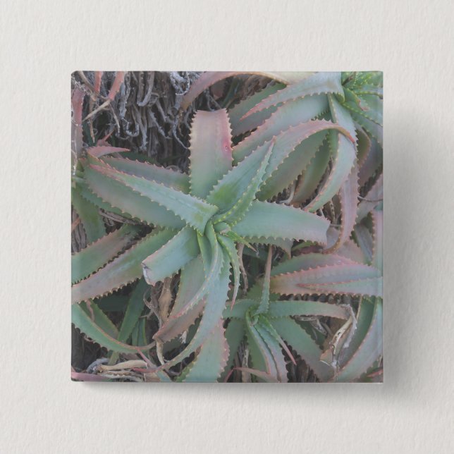 Nevada succulents 15 cm square badge (Front)