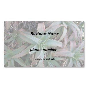Nevada succulents Magnetic business card