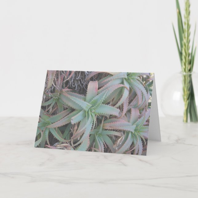 Nevada Succulents Note Card (Front)