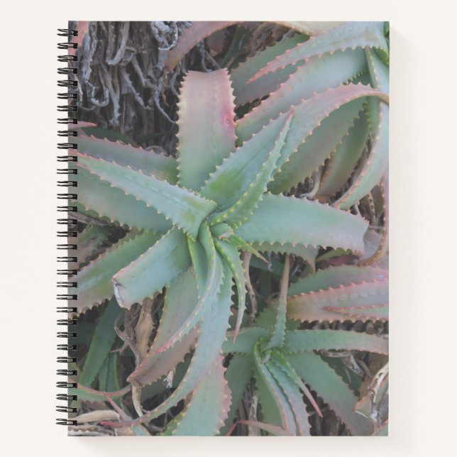 Nevada succulents notebook (Front)