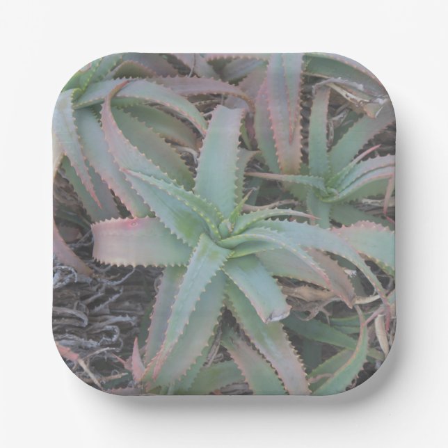 Nevada succulents        paper plate (Front)