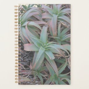 Nevada succulents planner