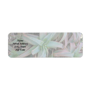Nevada succulents return address label