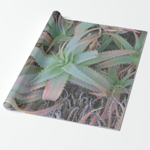 Nevada succulents          wrapping paper
