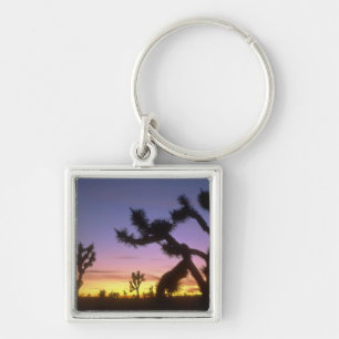 NEVADA. USA. Joshua trees Yucca brevifolia) Key Ring