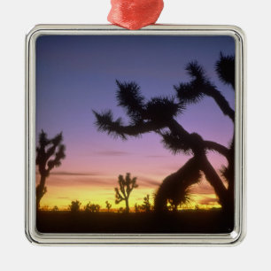 NEVADA. USA. Joshua trees Yucca brevifolia) Metal Ornament