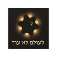 Never Again Fractal Star Of David