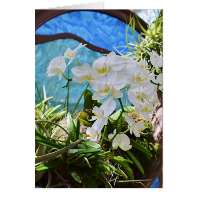 "Never Alone" (Front)