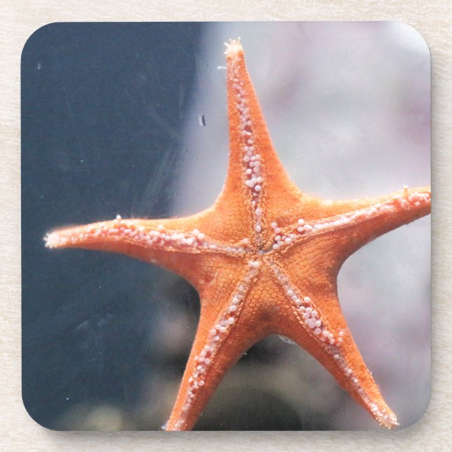 Never ask a star fish directions coaster (Front)