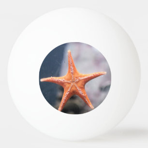 Never ask a star fish directions ping pong ball
