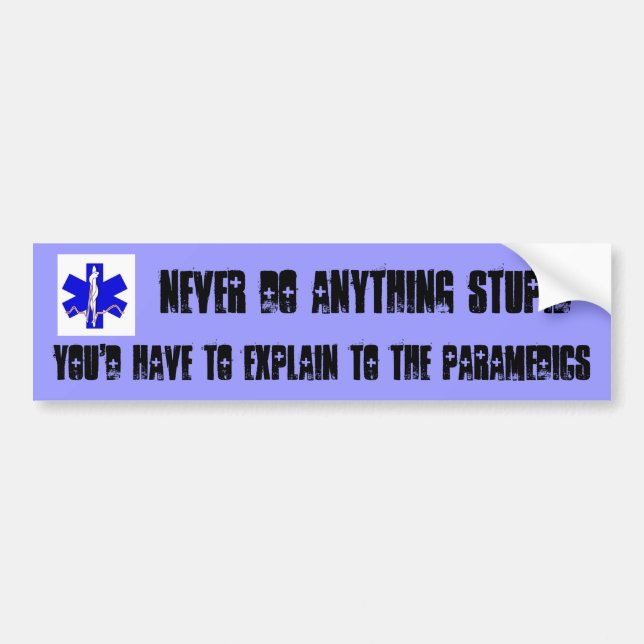 NEVER do anything stupid Bumper Sticker (Front)