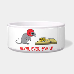 Never ever give up