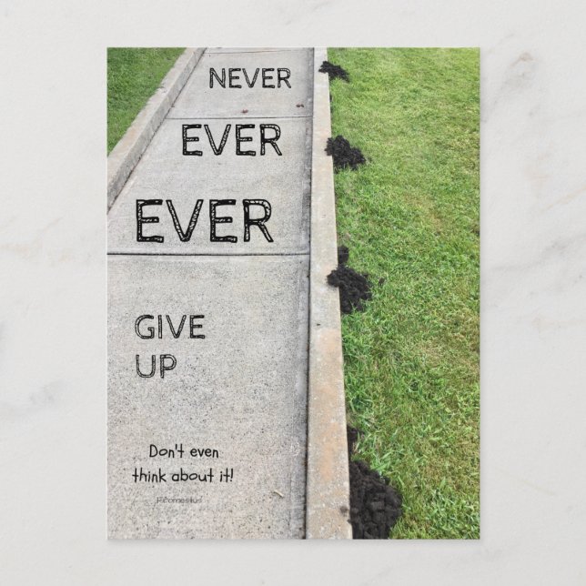 Never Ever Give Up. Postcard (Front)