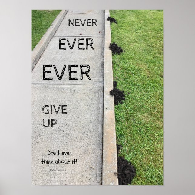 Never Ever Give Up. Poster (Front)