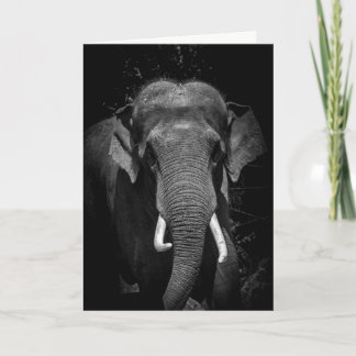 Never forget a Birthday Card