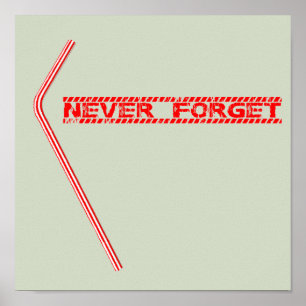 Never Forget Plastic Straws Poster