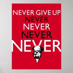 Never Give Up ! Poster
