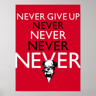 Never Give Up ! Poster