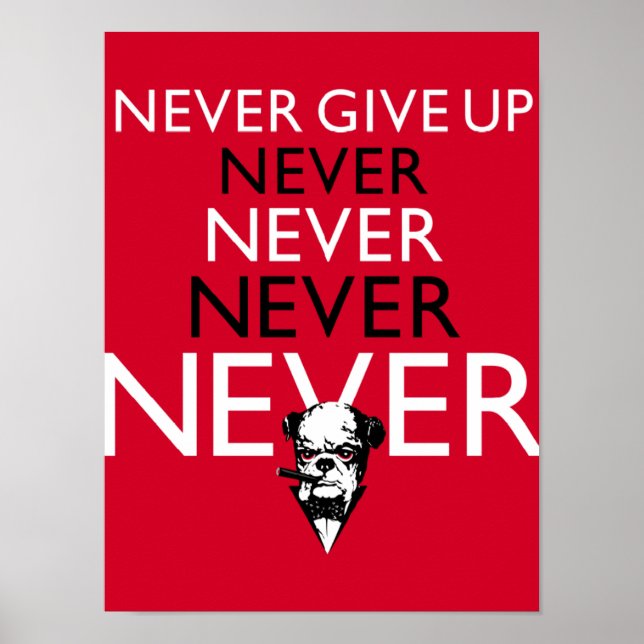 Never Give Up ! Poster (Front)