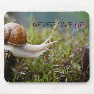 NEVER GIVE UP - snail edition Mouse Pad