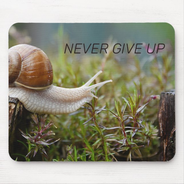 NEVER GIVE UP - snail edition Mouse Pad (Front)