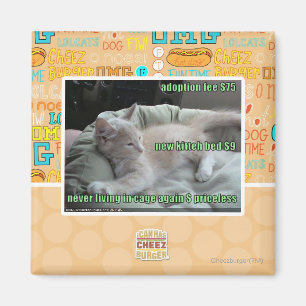 Never living in a cage again magnet