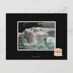 Never living in a cage again postcard