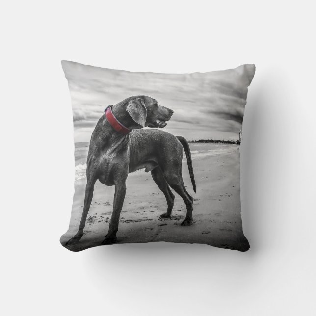 Never look back cushion (Front)