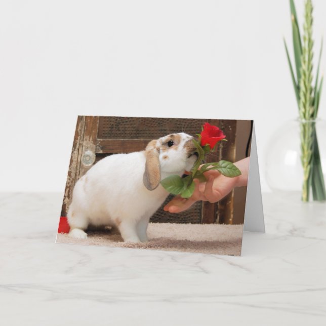 Never Lost Card (Front)