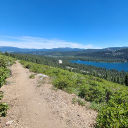 Never! Maybe. Poster