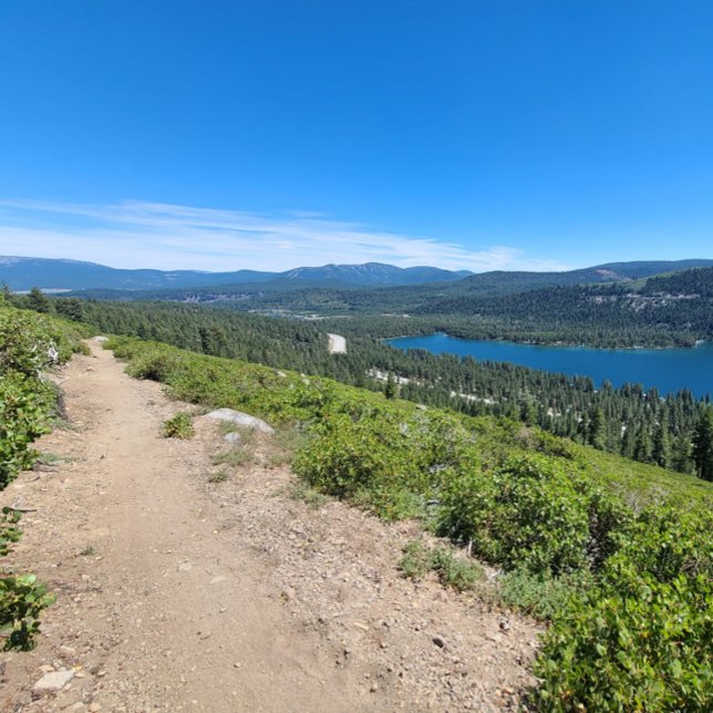 Never! Maybe. Poster (Creator Uploaded)