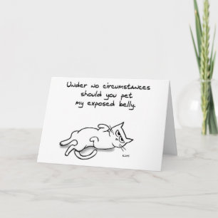 Never Pet the Cat Belly - Funny Cat Greeting Card