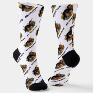 Never Say You Never Saw A Platypus Socks