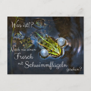 Never seen a frog with wings? postcard