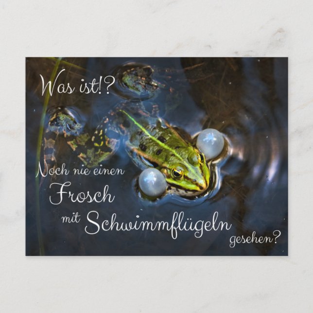 Never seen a frog with wings? postcard (Front)