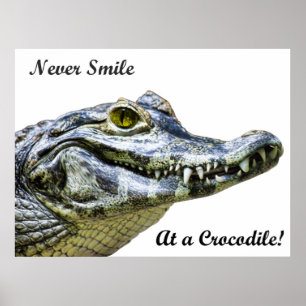 Never smile at a crocodile! poster