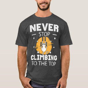 Never Stop Climbing To The Top Motivation Cat