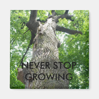 NEVER STOP GROWING MAGNET