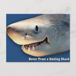 Never Trust a Smiling Shark Postcard
