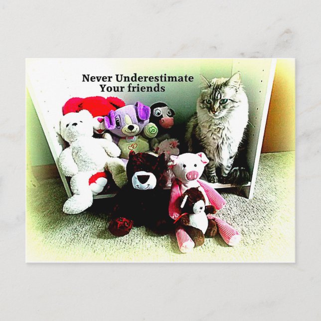 Never Underestimate Friends Postcard (Front)