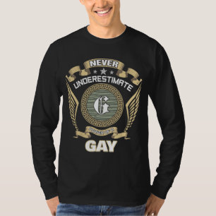 NEVER UNDERESTIMATE POWER OF A GAY T-Shirt