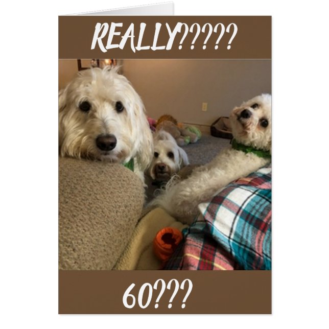 **NEVER WOULD HAVE GUESSED** YOU CAN'T BE ***60*** (Front)