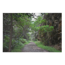 Neverending Mountain Trail
