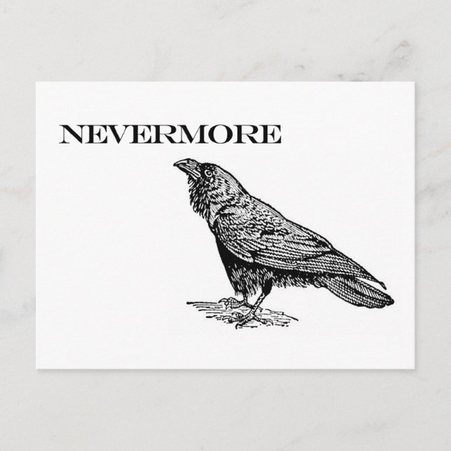 Nevermore Raven Postcard (Front)