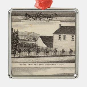 Nevis, Green residences, farms Metal Tree Decoration