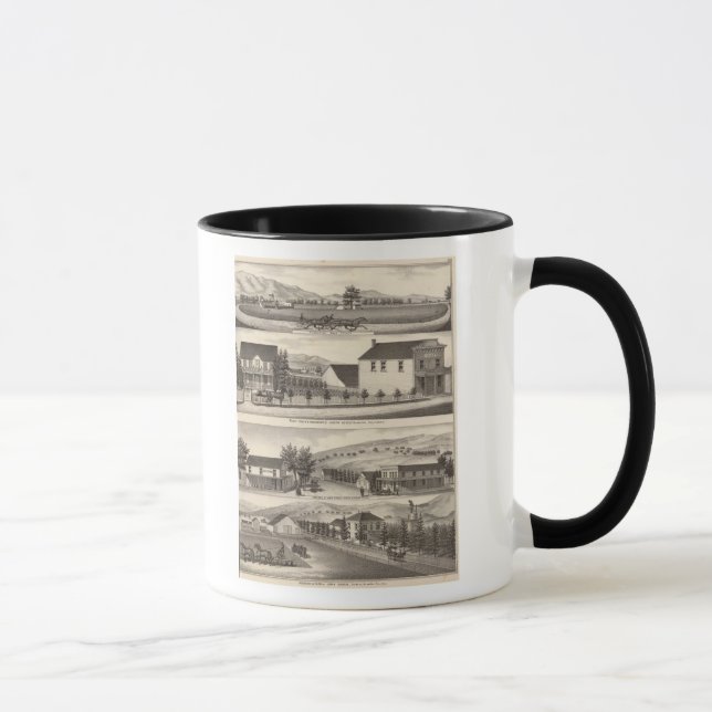 Nevis, Green residences, farms Mug (Right)