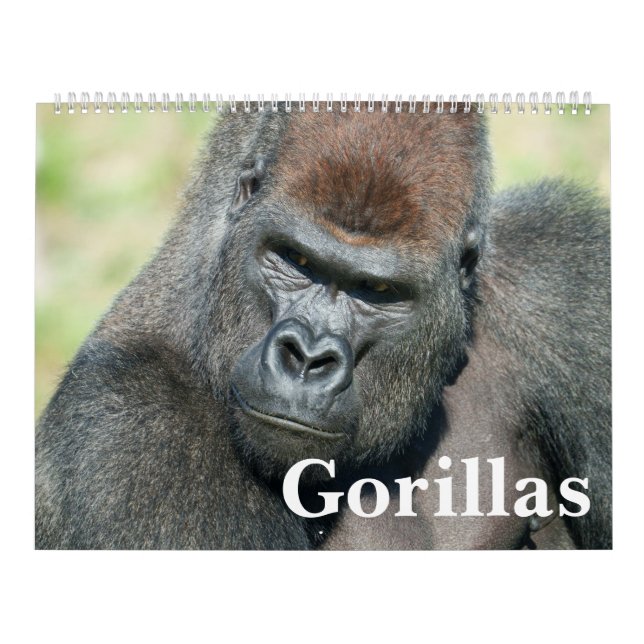 NEW 2026 Gorilla Calendar (Cover)