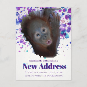 New Address Announcement Postcard