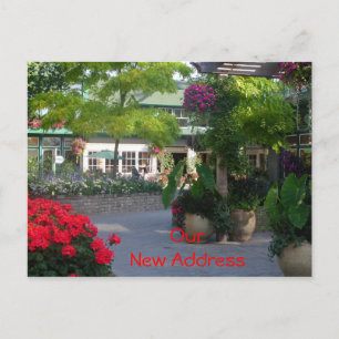 New Address Announcement Postcard