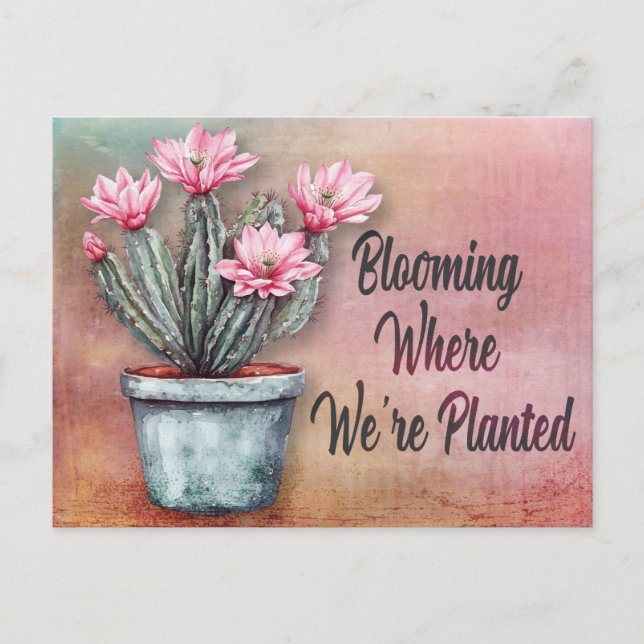 New Address Desert Cactus Moving Announcement Postcard (Front)